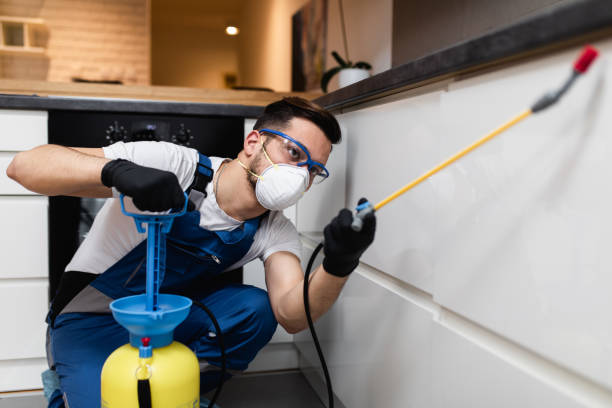 Best Affordable Pest Control Services  in Clawson, MI