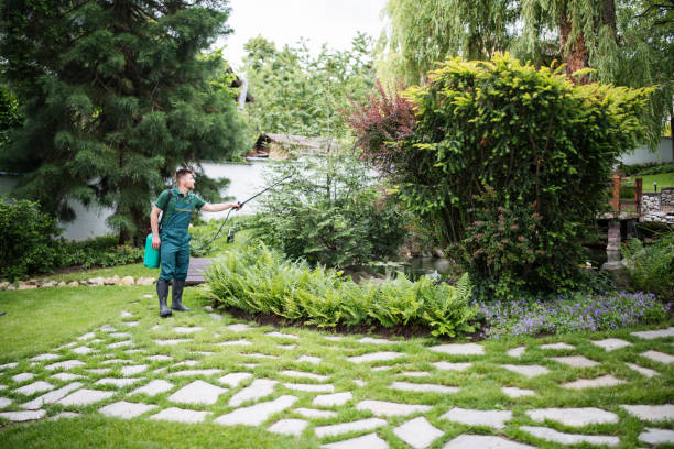 Trusted Clawson, MI Pest Control Experts