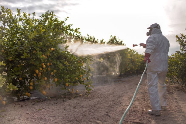 Pest Prevention Services in Clawson, MI