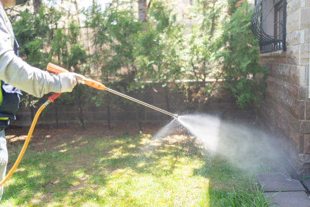 Best Insect Control  in Clawson, MI