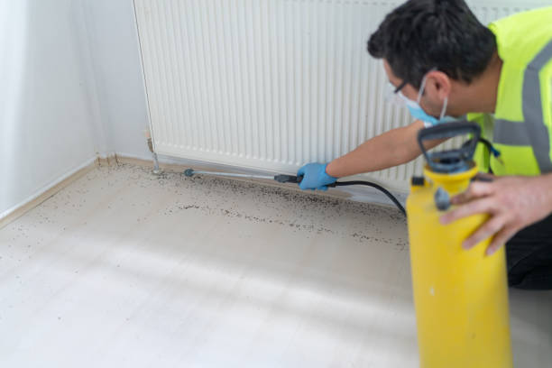 Best Mosquito Control Services  in Clawson, MI