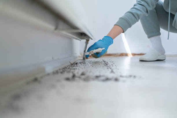 Best Affordable Pest Control Services  in Clawson, MI