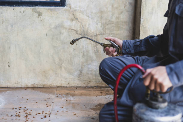 Best Flea Control Services  in Clawson, MI