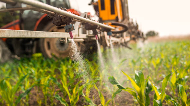 Insect Control in Clawson, MI